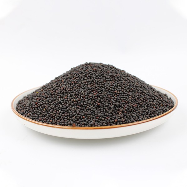 Black Mustard Seeds Factory - Organic Charm Oil