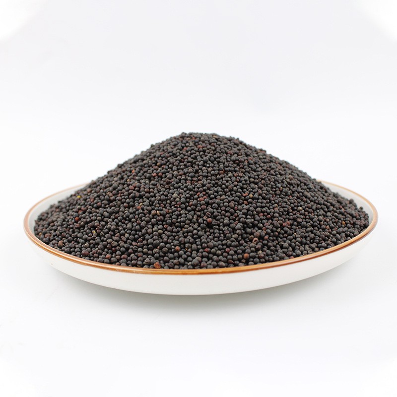 Black Mustard Seeds Factory - Organic Charm Oil