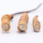 Cordyceps Herb Supplier - Chinese Raw Material