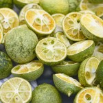 Green Kumquat Slices Factory - Freeze Drying Bulk