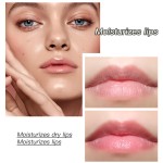 Organic Vegan Lip Balm Ball Golden Silver Moisturizing Herbal Liquid Mango Rose Blueberry Coconut Scents Makeup OEM Available