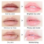 Organic Vegan Lip Balm Ball Golden Silver Moisturizing Herbal Liquid Mango Rose Blueberry Coconut Scents Makeup OEM Available