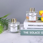 100ml Aromatherapy 5 Sticks Sticks Aroma Essential Bottles Eucalyptus Freshness Scented Home Fragrance Diffuser Purifying Air