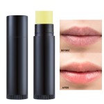 High Quality Organic Lip Balm Custom Private Label Long Lasting Moisturizing Jelly Makeup Makeup Lipbalm
