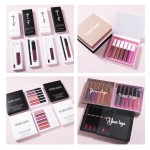 Wholesale Cruelty Free Shimmer Lip Gloss Kit Custom Logo OEM Matte Lipstick Glossy Shine Lips Sheer Lip Balm Makeup