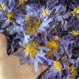 Blue Lotus Flowers Factory - EU Standard Raw