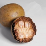 Monk Fruit Manufacturer - Siraitia Grosvenorii Dried