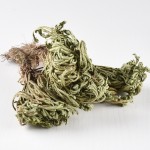 Jericho Flower Supplier - Selaginella Herb Dried
