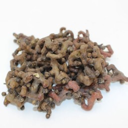 Raisin Fruit Tea Factory - Japanese Tree Seed