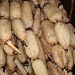 Lotus Root Powder Manufacturer - Pure Starch