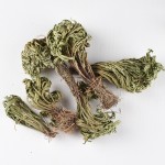 Jericho Flower Supplier - Selaginella Herb Dried