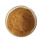 Chicory Powder Manufacturer - Coffee Grass Extract