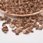 Teasel Root Factory - Dipsacus Japonomus Herbal