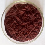 Chicory Powder Manufacturer - Coffee Grass Extract