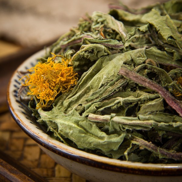 Dandelion Tea Supplier - Taraxacum Leaf Root
