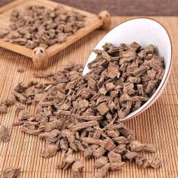 Teasel Root Factory - Dipsacus Japonomus Herbal