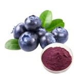 Blueberry Powder Manufacturer - Acai Berry Extract