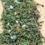 Dandelion Leaf Tea Manufacturer - Mongolian Herb