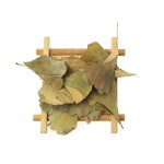 Ginkgo Leaf Tea Supplier - Biloba Loose Leaf