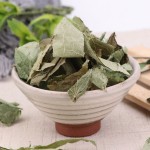 Epimedium Extract Supplier - Horny Goat Weed