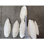 Cuttlefish Bone Supplier - Hai Piao Xiao Dried