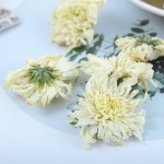 Chrysanthemum Tea Manufacturer - Tribute Grade