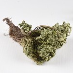 Jericho Flower Supplier - Selaginella Herb Dried