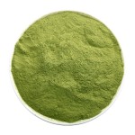 Mint Powder Supplier - Water Soluble Extract