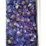 Blue Lotus Flowers Factory - EU Standard Raw