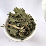 Nettle Herb Factory - Urtica Cannabina Dried