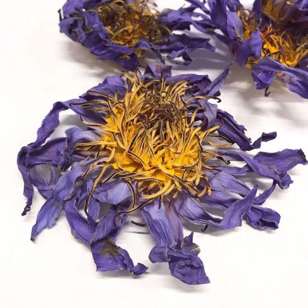 Blue Lotus Tea Supplier - Nymphaea Coerulea Flower