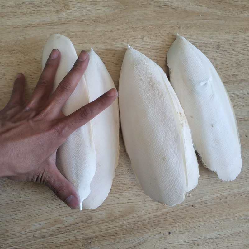 Cuttlefish Bone Supplier - Hai Piao Xiao Dried
