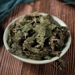 Nettle Herb Factory - Urtica Cannabina Dried