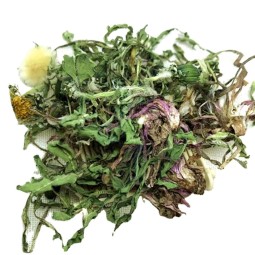 Dandelion Leaf Tea Manufacturer - Mongolian Herb
