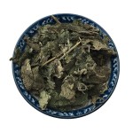 Nettle Herb Factory - Urtica Cannabina Dried