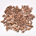 Teasel Root Factory - Dipsacus Japonomus Herbal