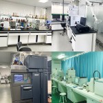 Chicory Powder Manufacturer - Coffee Grass Extract