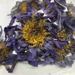 Blue Lotus Tea Factory - EU Standard Smokable