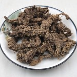 Valerian Root Manufacturer - Valeriana Officinalis Herb