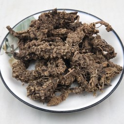 Valerian Root Manufacturer - Valeriana Officinalis Herb