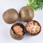 Monk Fruit Tea Supplier - Luo Han Guo Natural