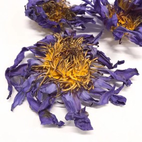 Blue Lotus Flower Supplier - Dried Bulk Herbal Tea