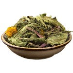 Dandelion Tea Supplier - Taraxacum Leaf Root