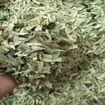Senna Leaf Tea Factory - Detox Flat Tummy Herbal