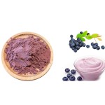 Blueberry Powder Manufacturer - Acai Berry Extract