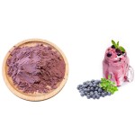 Blueberry Powder Manufacturer - Acai Berry Extract