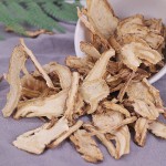 Dong Quai Root Supplier - Angelica Sinensis Herb
