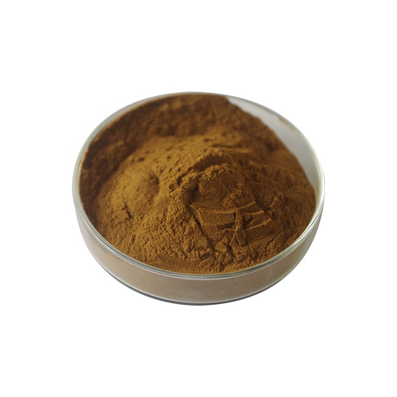 Chicory Powder Manufacturer - Coffee Grass Extract