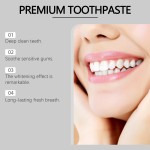 Toothpaste Factory - Fresh Breath Mint