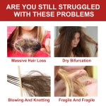 Collagen Solution Factory - Nutrient Hair Care